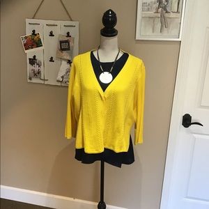 Cabi-Sunny Sweater